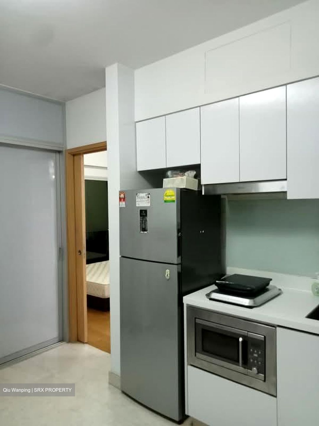 Eight Riversuites (D12), Condominium #576163111